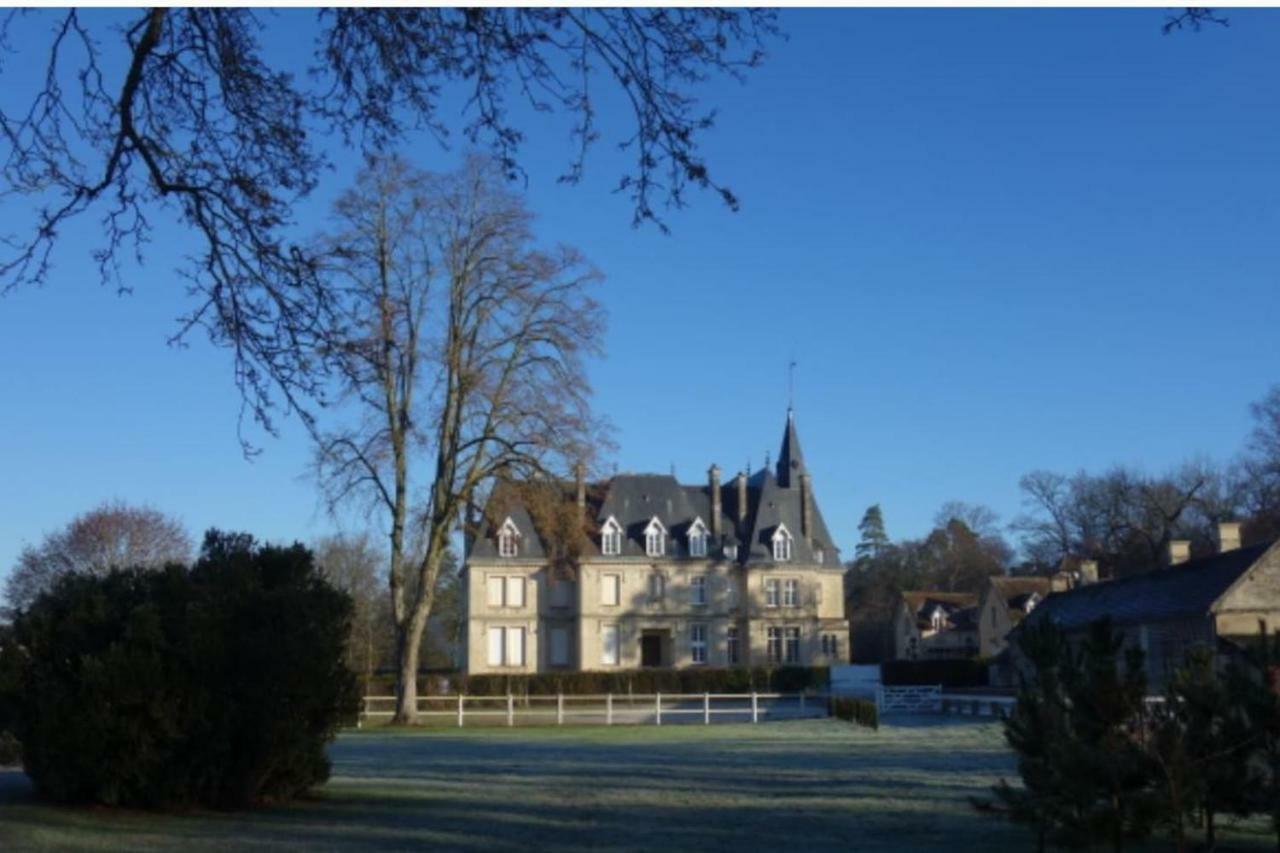 Napoleon Chateau Luxuryapartment For 18 Guests With Pool Near Paris! Saint-Jean-aux-Bois  Exterior foto